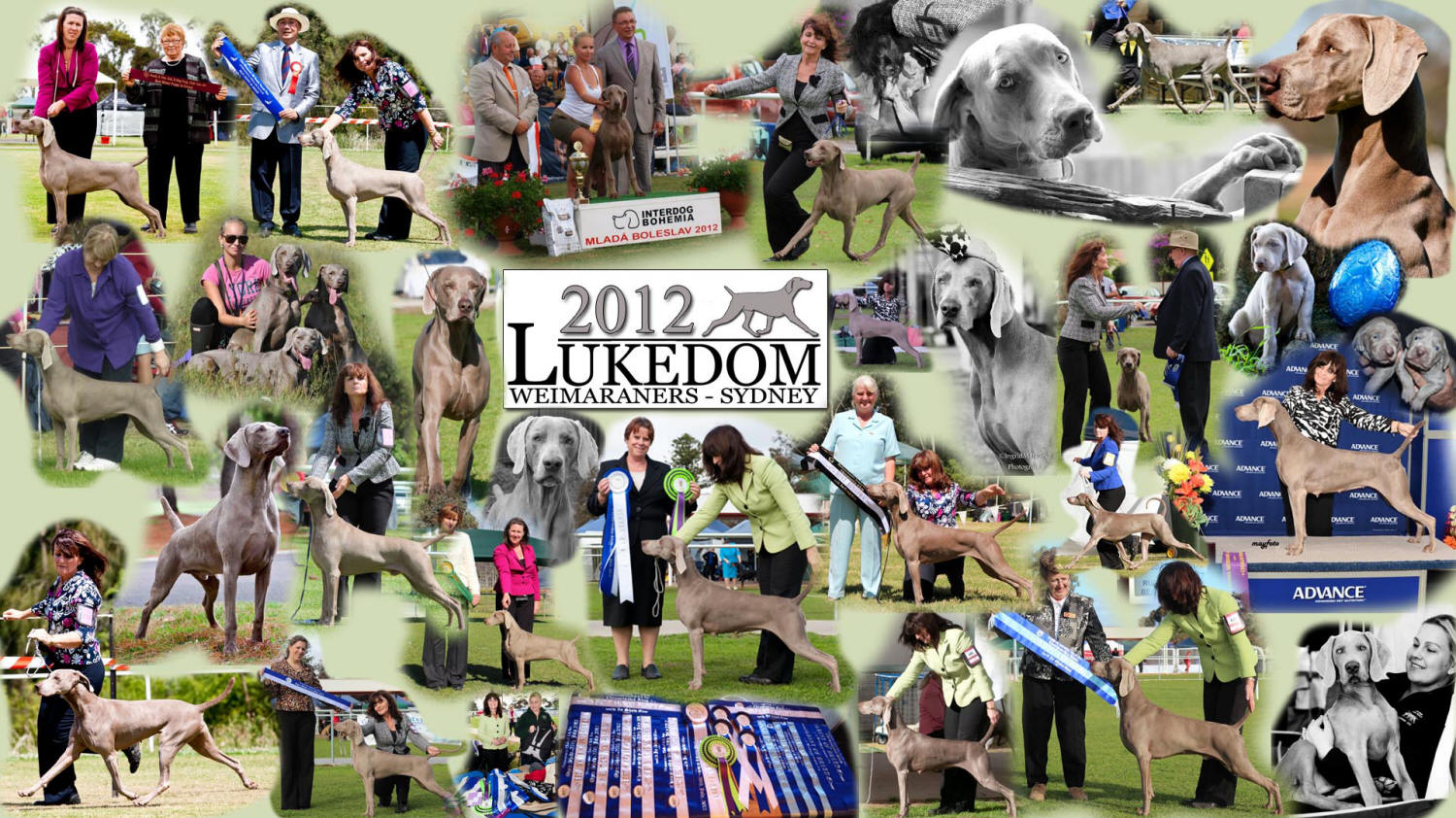 2012- In pictures