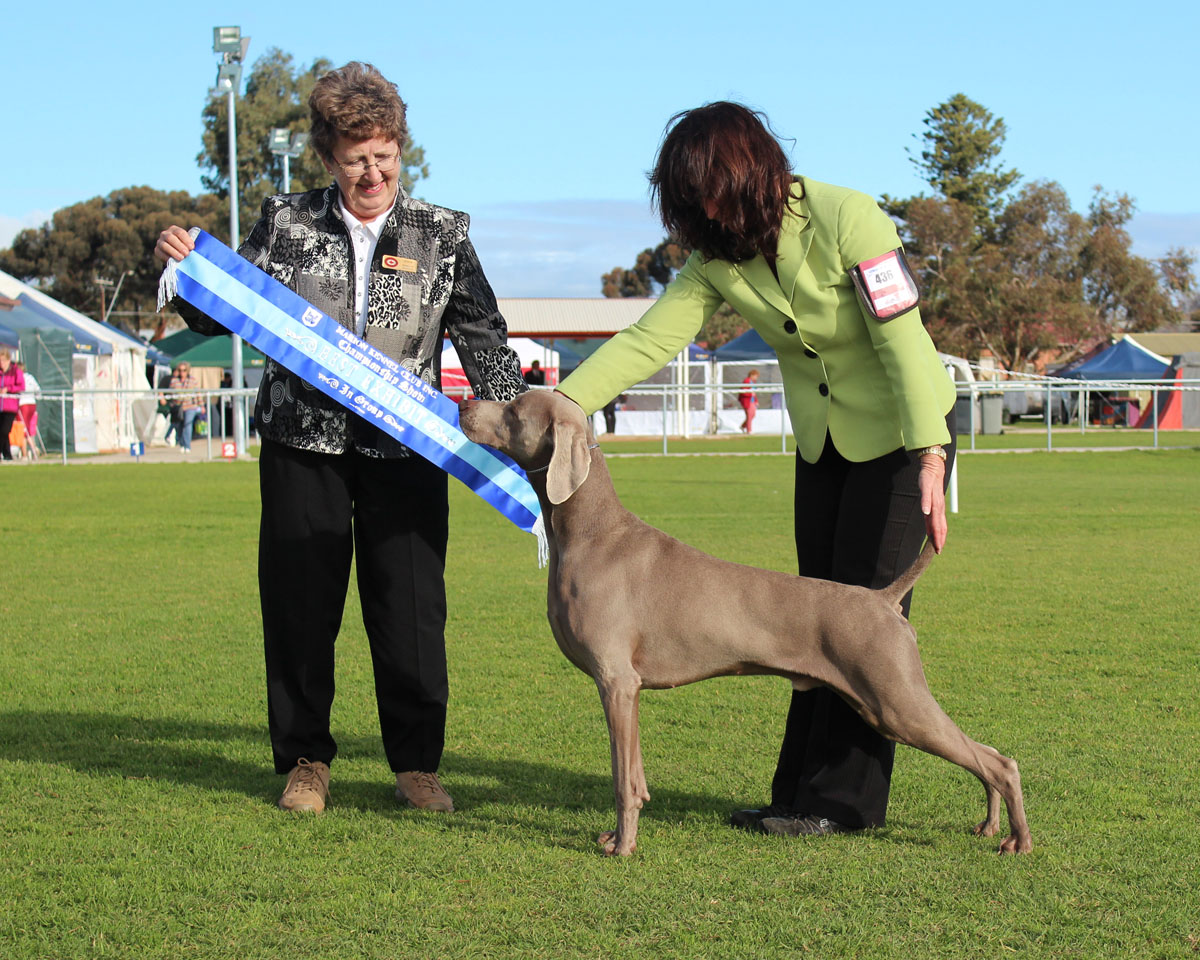 Presley Best In Group - Marion KC July 2012