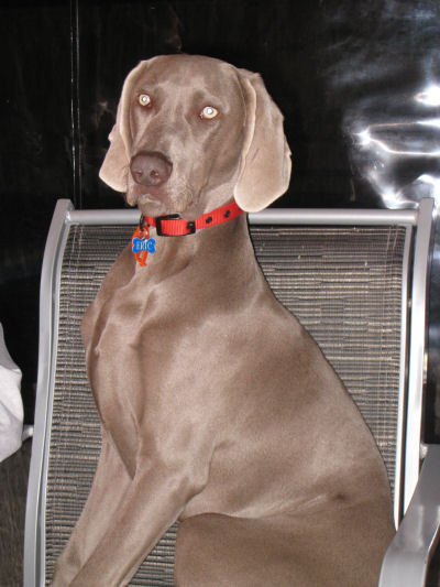 Eric @ 5 months