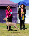 Baby In Show