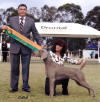 Puppy In Show - Sutherland Shire ABKC 2010