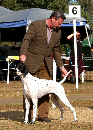 Joseph_Pointer_Group